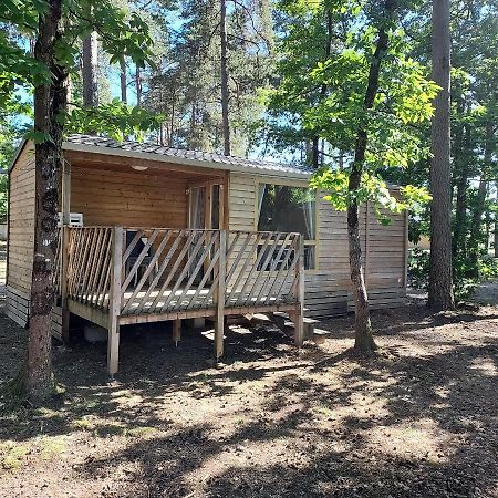 Camping Onlycamp Les Pins Nancay Eksteriør billede